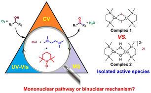 Graphical abstract: The mechanistic diversity of the selective aerobic oxidation of alcohols catalyzed by systems derived from CuI and a diamine ligand