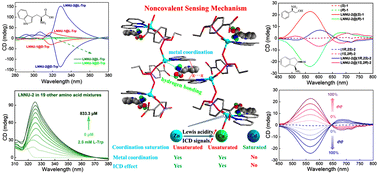 Graphical abstract: Noncovalent induced circular dichroism sensors based on a chiral metal–organic framework: chiral induction synthesis, quantitative enantioselective sensing and noncovalent sensing mechanism