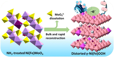 Graphical abstract: Regulation of bulk reconstruction of FeNiMoO4via NH3 treatment for high performance water oxidation