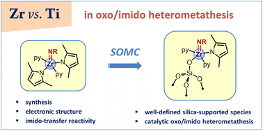 Graphical abstract: Zr vs. Ti molecular and silica-supported imido complexes in stoichiometric and catalytic oxo/imido heterometathesis