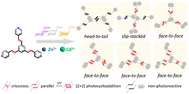 Graphical abstract: Carboxylic acid and metal ion co-driven assembly of triene coordination polymers for [2 + 2] photocycloaddition