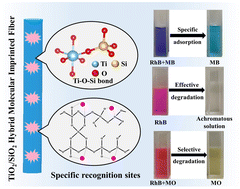 Graphical abstract: Preparation of inorganic-framework molecularly imprinted TiO2/SiO2 nanofibers by one-step electrospinning and their highly selective photodegradation