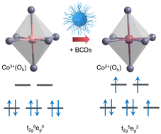 Graphical abstract: Regulating the spin density of CoIII using boron-doped carbon dots for enhanced electrocatalytic nitrate reduction