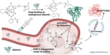 Graphical abstract: Tumor-targeted dual-action NSAID-platinum(iv) anticancer prodrugs