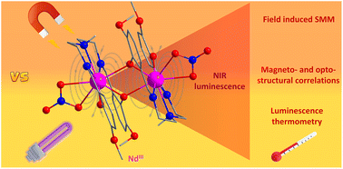 Graphical abstract: The role of terminal ligands in the slow relaxation of magnetisation and luminescence thermometry of dinuclear NdIII complexes