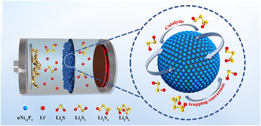 Graphical abstract: Ultrafine Ni12P5 nanoparticle-embedded carbon with abundant catalytic activity sites as separator modifiers in high-performance lithium–sulfur batteries