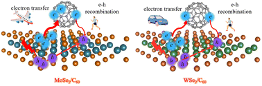 Graphical abstract: MoSe2/C60 heterojunction may be efficient for photovoltaic applications: time-domain ab initio analysis of interfacial charge separation and recombination dynamics