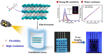 Graphical abstract: Flexible strontium-based metal–organic framework scintillation screens for high-resolution X-ray imaging