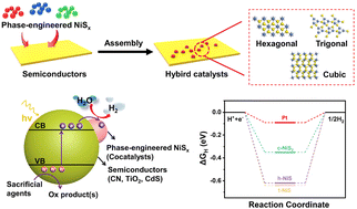 Graphical abstract: Crystal phase of nickel sulfide dictates hydrogen evolution activity of various semiconducting photocatalysts
