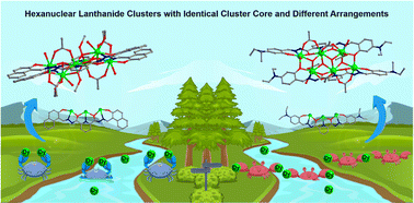 Graphical abstract: Highly stable and differentially arranged hexanuclear lanthanide clusters: structure, assembly mechanism, and magnetic resonance imaging
