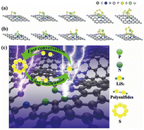 Graphical abstract: Mechanism and thermal effects of phytic acid-assisted porous carbon sheets for high-performance lithium–sulfur batteries