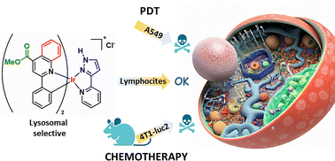 Graphical abstract: Synthetic ease and exceptional in vivo performance of pyrazole-based cyclometallated iridium complexes
