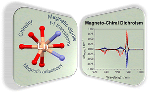 Graphical abstract: Magneto-chiral dichroism of chiral lanthanide complexes