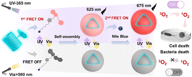 Graphical abstract: A novel photoswitchable AIE-active supramolecular photosensitizer with synergistic enhancement of ROS-generation ability constructed by a two-step sequential FRET process
