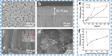 Graphical abstract: The nonclassical crystallization mechanism and growth kinetics of densely packed fluorapatite nanorod arrays: effects of the ion transportation rate and fluoride concentration
