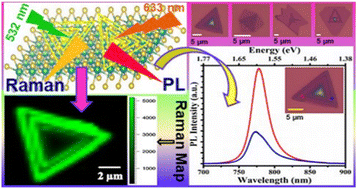 Graphical abstract: Spectroscopic studies on CVD-grown monolayer, bilayer, and ribbon structures of WSe2 flakes