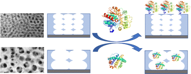 Graphical abstract: Large-pore mesoporous silica: template design, thin film preparation and biomolecule infiltration