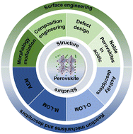 Graphical abstract: Regulation engineering of the surface and structure of perovskite-based electrocatalysts for the oxygen evolution reaction