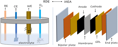 Graphical abstract: Bridging oxygen reduction performance gaps in half and full cells: challenges and perspectives