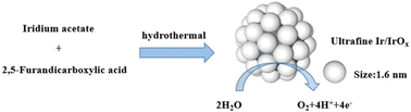 Graphical abstract: Ultrafine iridium nanoparticles prepared without a surfactant for the acidic oxygen evolution reaction