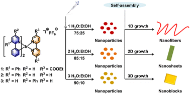 Graphical abstract: Controllable 1D, 2D and 3D supramolecular assemblies of Ir(iii) complexes