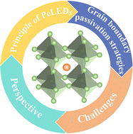 Graphical abstract: High-performance perovskite light-emitting diodes based on grain boundary passivation: progress, challenges and perspectives