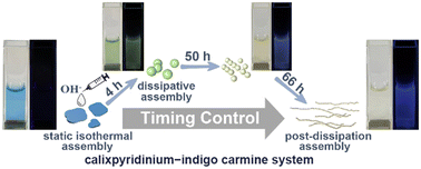 Graphical abstract: Structural evolution from disordered to fibrous assembly via a dual visual dissipative pathway