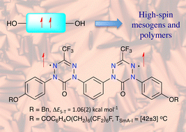 Graphical abstract: Mesogenic behavior of a 6-oxoverdazyl diradical: towards organic high-spin liquid crystals