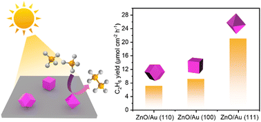 Graphical abstract: Understanding Au facet effects in photocatalytic nonoxidative coupling of methane
