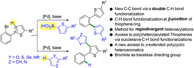 Graphical abstract: Double C–H bond functionalization for C–C coupling at the β-position of thiophenes using palladium-catalyzed 1,4-migration associated with direct arylation