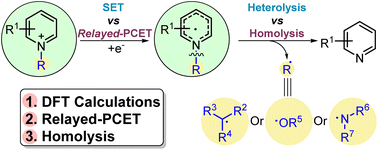 Graphical abstract: Deaminative radical reactions via relayed proton-coupled electron transfer