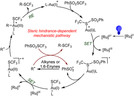 Graphical abstract: Mechanistic understanding of the dual gold and photoredox-catalyzed thiosulfonylation of alkynes and enynes: a DFT study