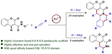 Graphical abstract: A Ru(ii)-catalyzed C–H activation and annulation cascade for the construction of highly coumarin-fused benzo[a]quinolizin-4-ones and pyridin-2-ones