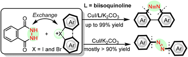 Graphical abstract: Efficient synthesis of benzo[c]cinnolines and azoarenes via dual C–N coupling of phthalhydrazide and trivalent halogen reagents