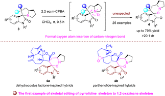 Graphical abstract: Formal oxygen atom insertion as a skeletal-editing step: rapid access natural-product-inspired bispiro[oxindole-oxazinane] hybrids