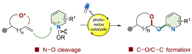 Graphical abstract: Visible light-mediated syntheses of unsymmetrical methylene-bridged bis-heterocycles via an alkoxy radical relay reaction