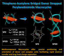 Graphical abstract: A donor strapped perylene bisimide macrocycle and its lemniscate dimer with extended charge separation