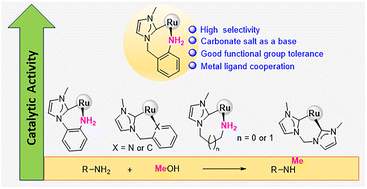 Graphical abstract: NHC–amine Ru complex catalyzed selective mono-N-methylation of amines with methanol: understanding the effect of amine ligands