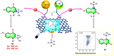 Graphical abstract: Site-selective C–H difunctionalization of N-alkyl activated azaarenes via the synergistic catalysis of graphene oxide and visible light