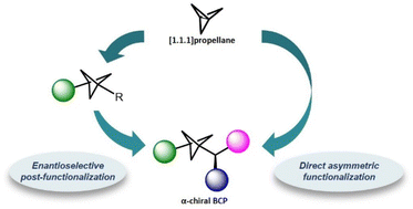 Graphical abstract: Enantioselective synthesis of chiral BCPs