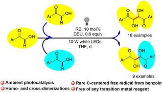 Graphical abstract: Metal-free photocatalyzed homo- and cross-dimerizations of α-hydroxyl ketones via dual C(sp3)–H functionalization: synthesis of 2,3-dihydroxyl-1,4-butanediones