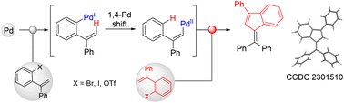 Graphical abstract: Rapid synthesis of benzofulvenes from α-bromodiarylethylenes based on a 1,4-palladium shift strategy