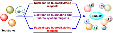 Graphical abstract: Recent advances in N-heterocyclic carbene (NHC)-catalyzed fluorination and fluoroalkylation