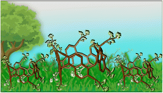 Graphical abstract: Synthesis, conformational properties, and molecular recognition abilities of novel prism[5]arenes with branched and bulky alkyl groups