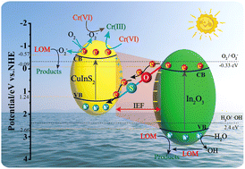 Graphical abstract: Interfacial S–O bonds specifically boost Z-scheme charge separation in a CuInS2/In2O3 heterojunction for efficient photocatalytic activity