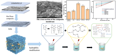 Graphical abstract: Construction and hydrophilic modification of dual-network structured nonwoven/UHMWPE composite membranes for water processing