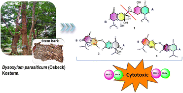 Graphical abstract: Dysoticans F–H: three unprecedented dimeric cadinanes from Dysoxylum parasiticum (Osbeck) Kosterm. stem bark
