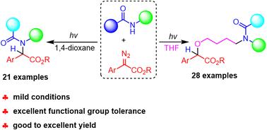 Graphical abstract: Visible-light-promoted N–H functionalization of O-substituted hydroxamic acid with diazo esters