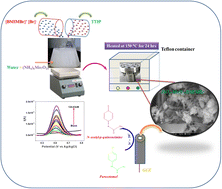 Graphical abstract: Designing a TiO2-MoO3-BMIMBr nanocomposite by a solvohydrothermal method using an ionic liquid aqueous mixture: an ultra high sensitive acetaminophen sensor