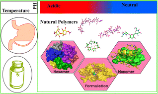 Graphical abstract: Computational formulation study of insulin on biodegradable polymers